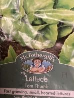 Miss Savage’s P1 Class Plant Lettuce 