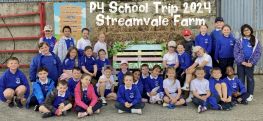 P4 School Trip to Streamvale Farm Mrs Cribbins class.