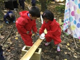 Primary 3 Forest Play