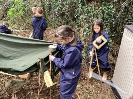 Fun in the Forest - P4 Miss McCann’s Class