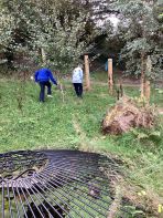 October Observation in Saint Francis’ Garden