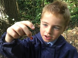 Mrs Curran’s P3 class explore our forest!