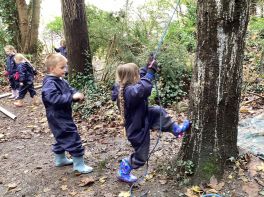 November P3 Memories