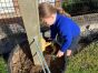 Planting in Primary 2 Miss Rocks